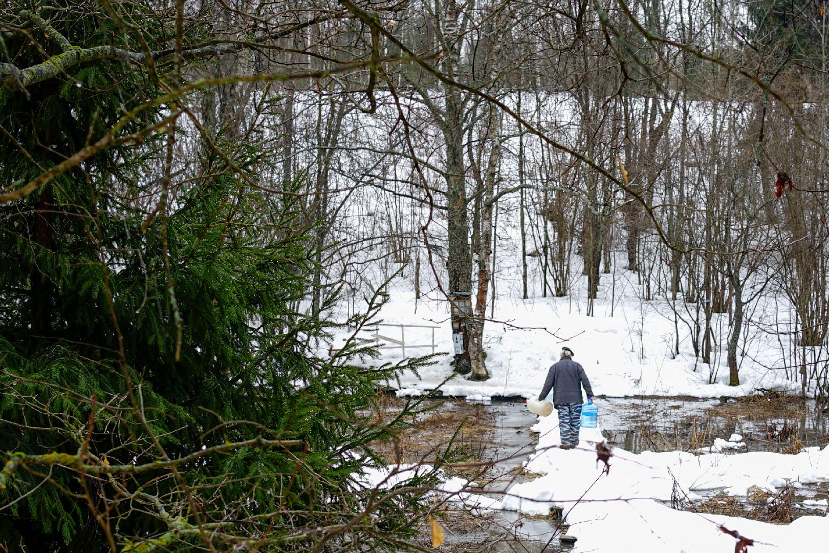 Сергиев Посад, Сергиево-Посадский городской округ, Экология, Родники, Выбор жителей, Благоустройство