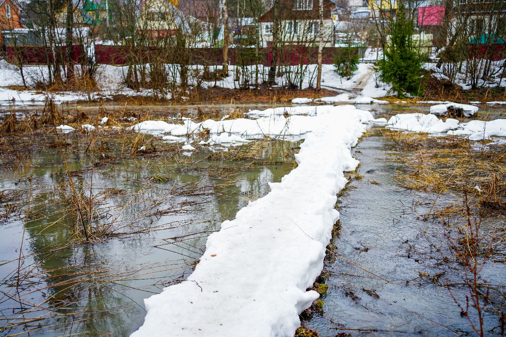 Сергиев Посад, Сергиево-Посадский городской округ, Экология, Родники, Выбор жителей, Благоустройство