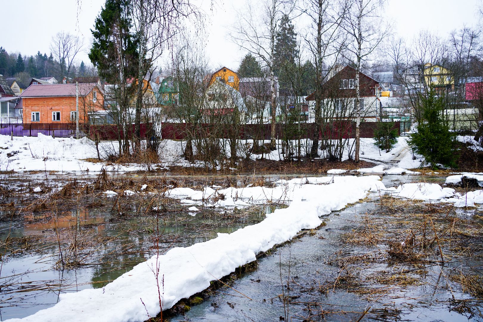Сергиев Посад, Сергиево-Посадский городской округ, Экология, Родники, Выбор жителей, Благоустройство