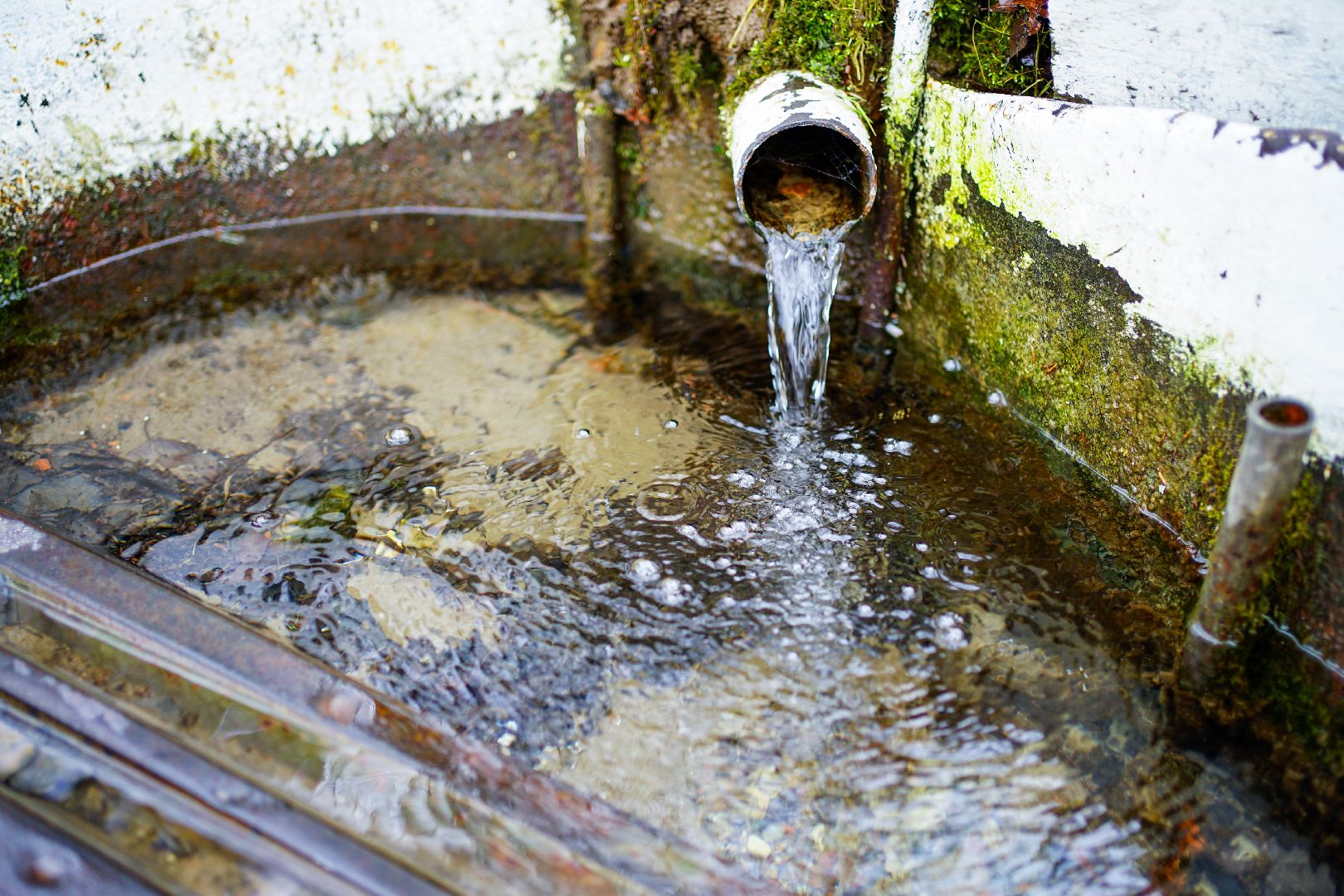 Сергиев Посад, Сергиево-Посадский городской округ, Экология, Родники, Выбор жителей, Благоустройство