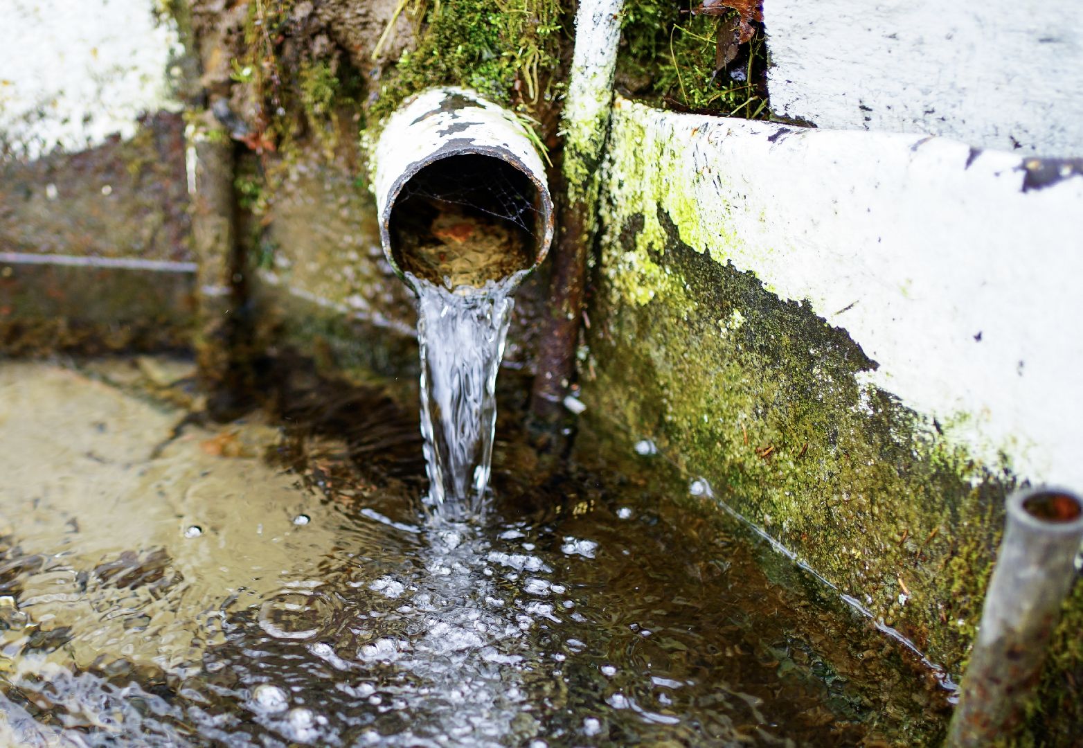 Сергиев Посад, Сергиево-Посадский городской округ, Экология, Родники, Выбор жителей, Благоустройство