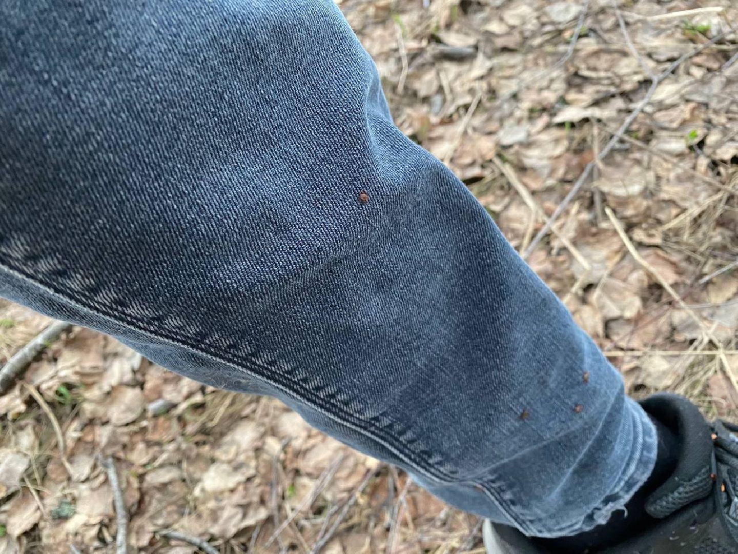 Ступино, клещи, безопасность, СОКБ