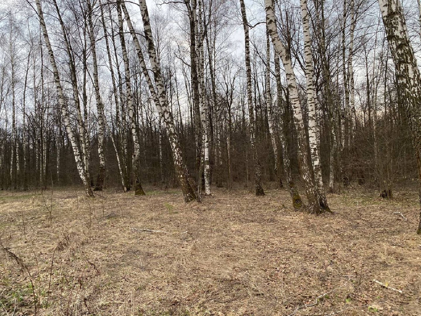 Ступино, клещи, безопасность, СОКБ