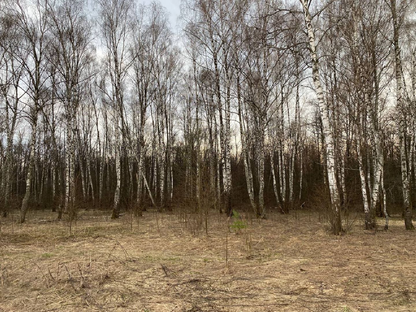 Ступино, клещи, безопасность, СОКБ