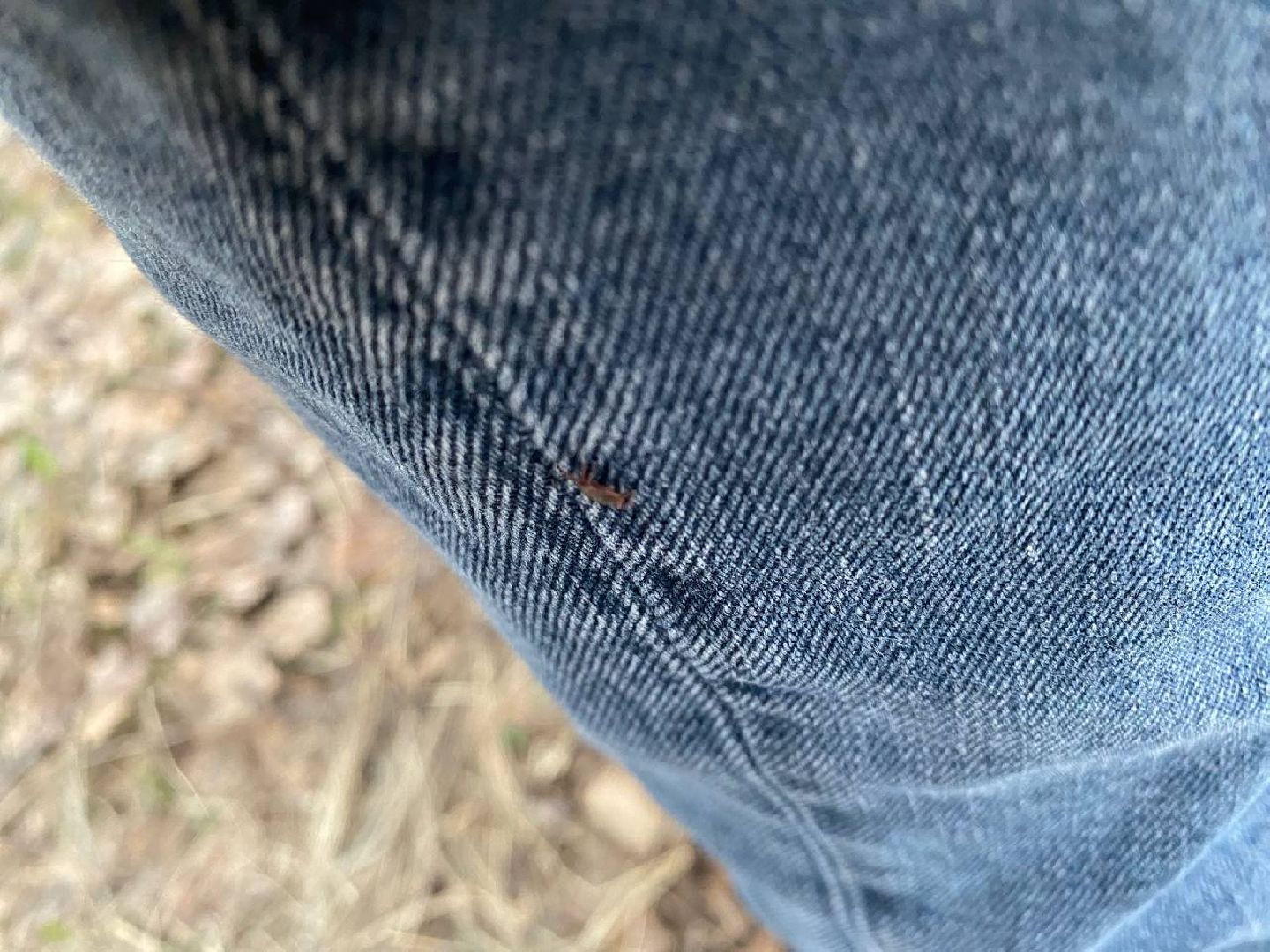 Ступино, клещи, безопасность, СОКБ