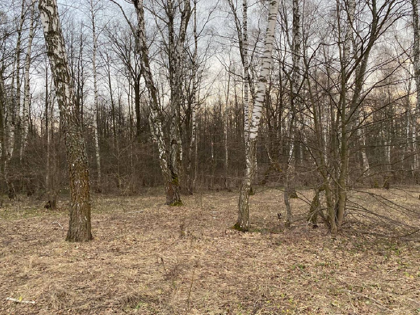 Ступино, клещи, безопасность, СОКБ