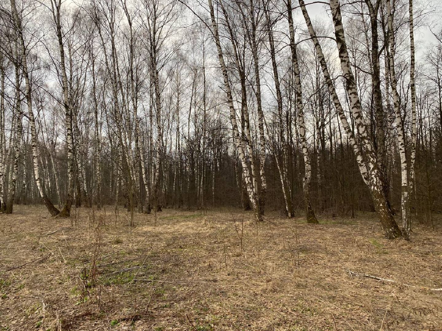 Ступино, клещи, безопасность, СОКБ