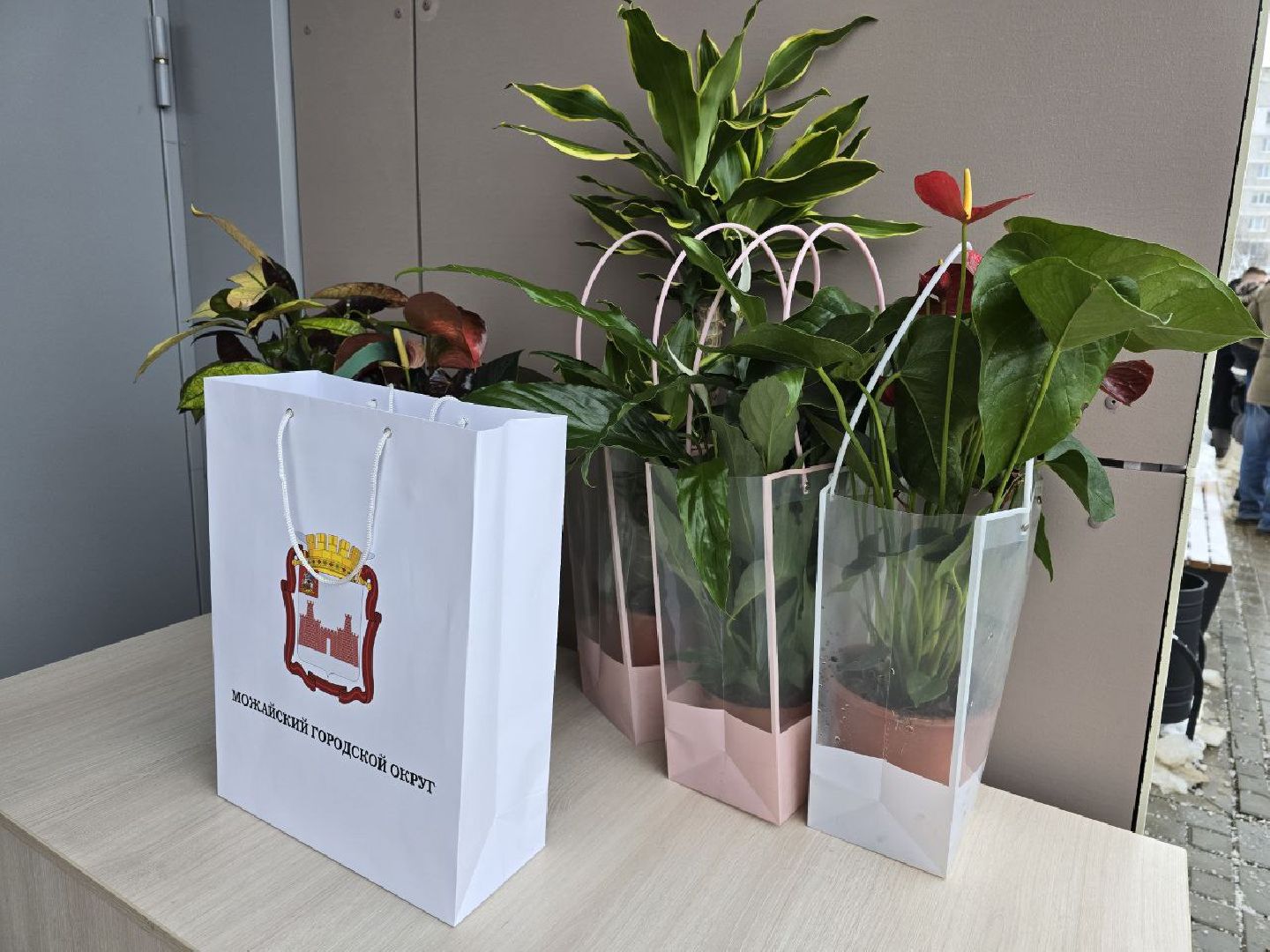 можайск, можайский городской округ, подмосковье, семьи переселенцев, аварийное жилье, Переселение граждан из аварийного жилищного фонда в Московской области на 2019-2025 годы, государственная программа, новый дом, новые квартиры, ключи от новых квартир,