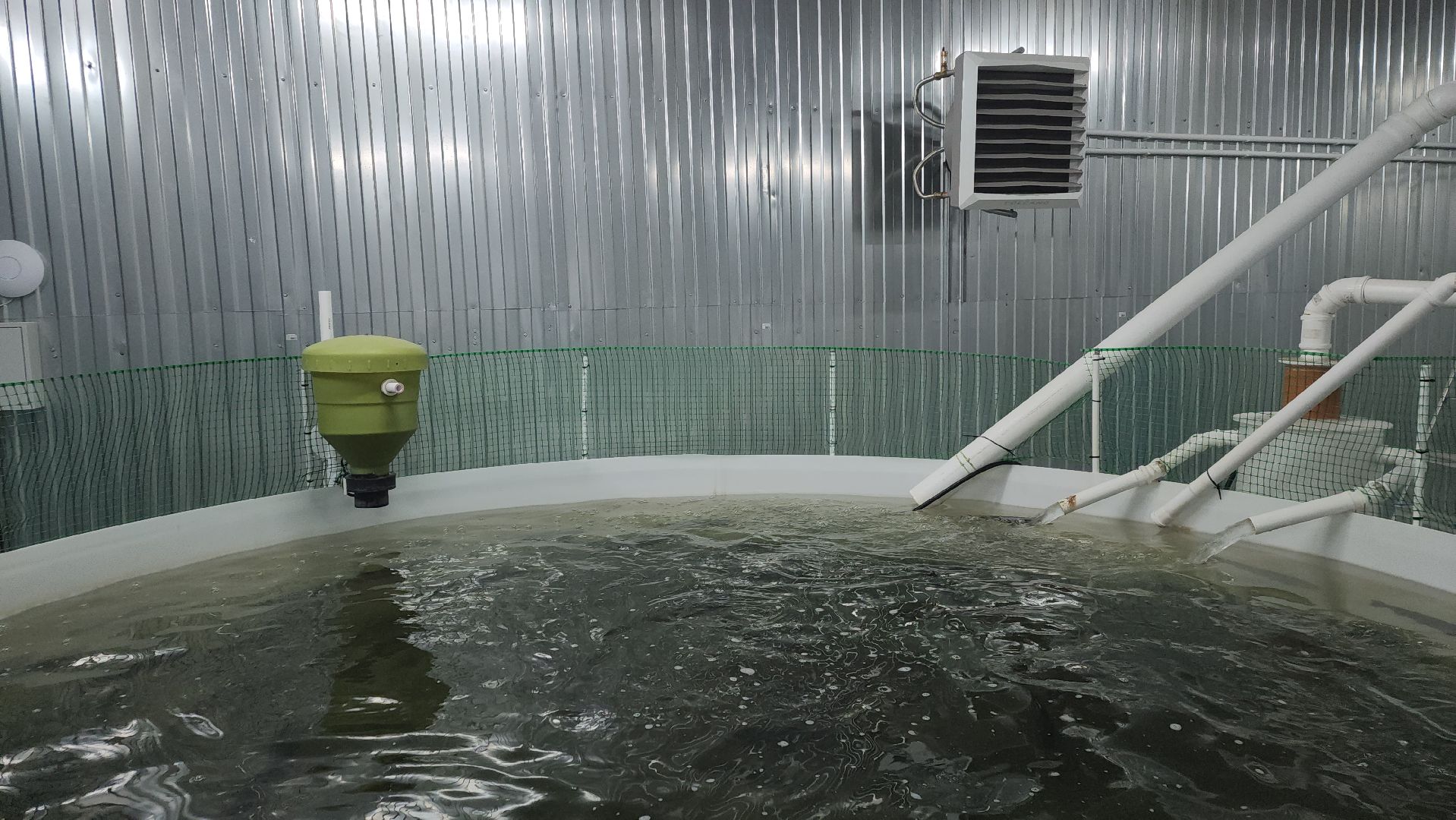 вертикалки, пушкинский, экотуризм, усадьба, фермерские продукты, куры, форель, предпринимательство, нежный бизнес, обмен опытом,