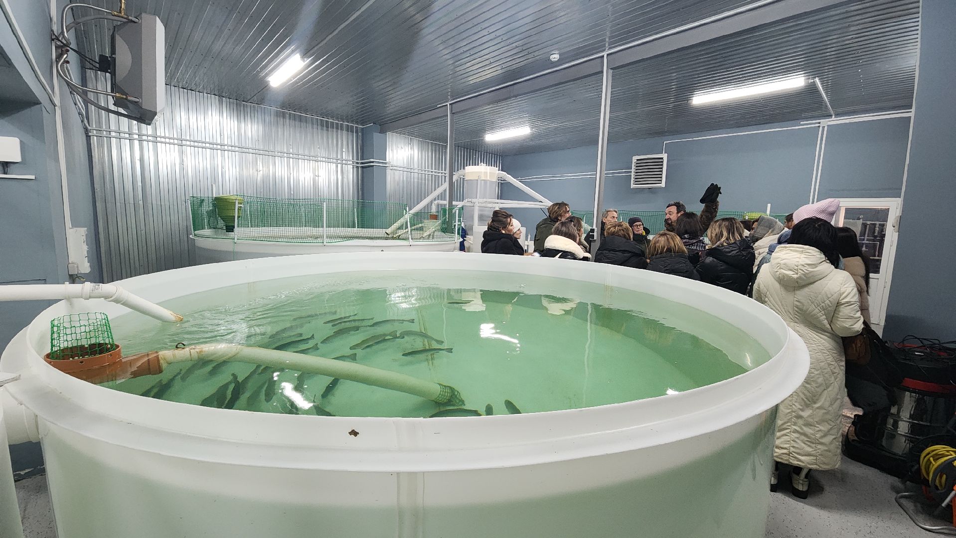 вертикалки, пушкинский, экотуризм, усадьба, фермерские продукты, куры, форель, предпринимательство, нежный бизнес, обмен опытом,