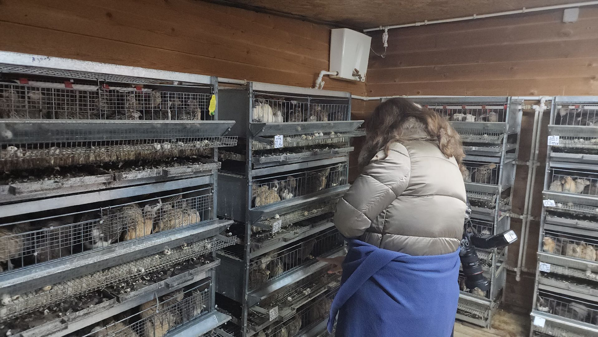 вертикалки, пушкинский, экотуризм, усадьба, фермерские продукты, куры, форель, предпринимательство, нежный бизнес, обмен опытом,