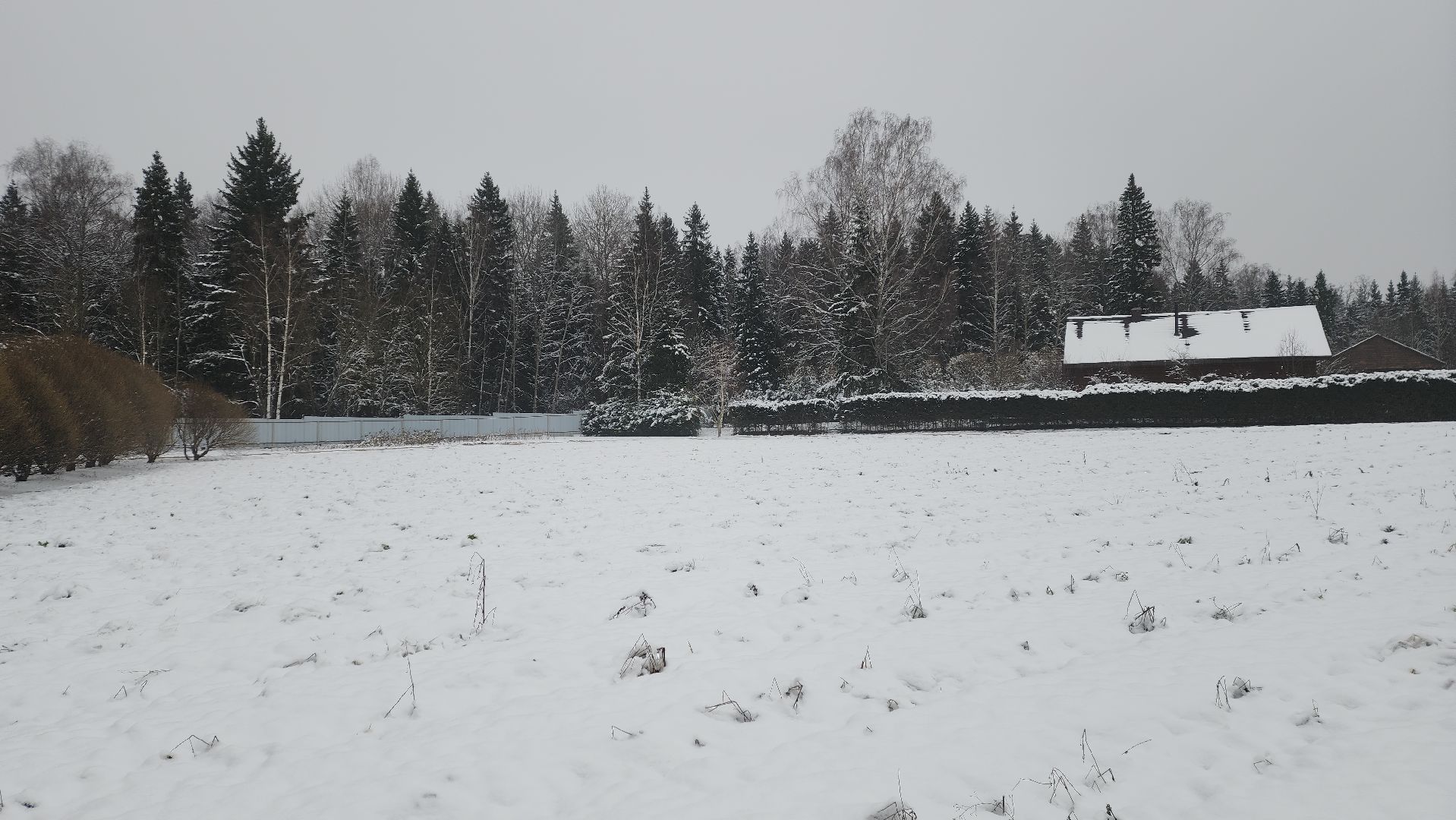 вертикалки, пушкинский, экотуризм, усадьба, фермерские продукты, куры, форель, предпринимательство, нежный бизнес, обмен опытом,