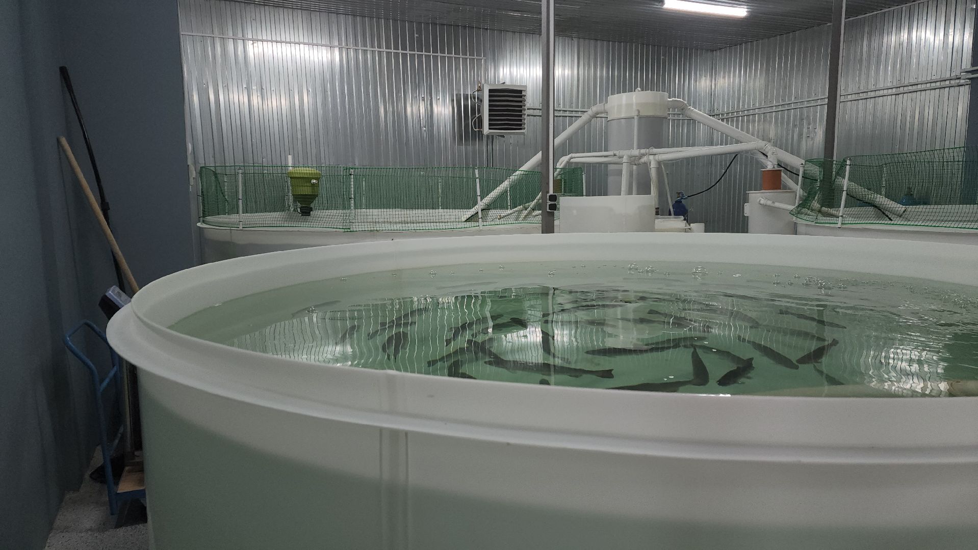 вертикалки, пушкинский, экотуризм, усадьба, фермерские продукты, куры, форель, предпринимательство, нежный бизнес, обмен опытом,