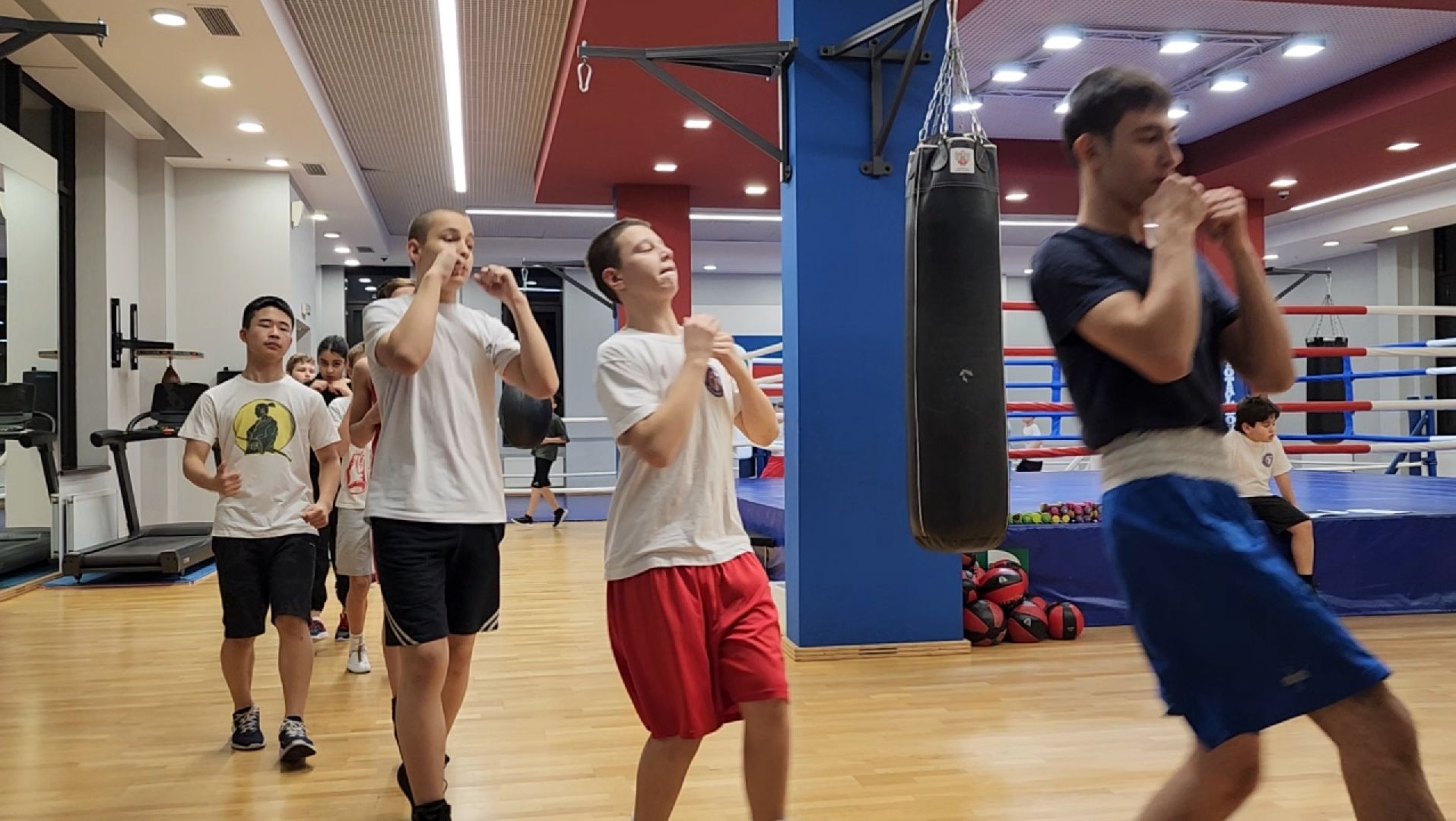 спорт, бокс, химки,