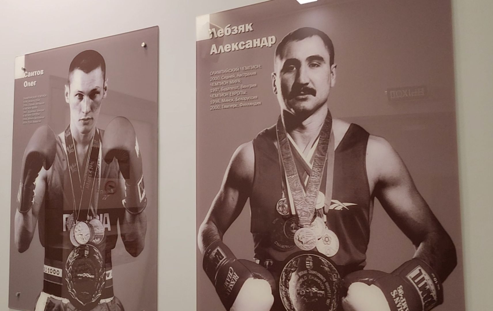 спорт, бокс, химки,