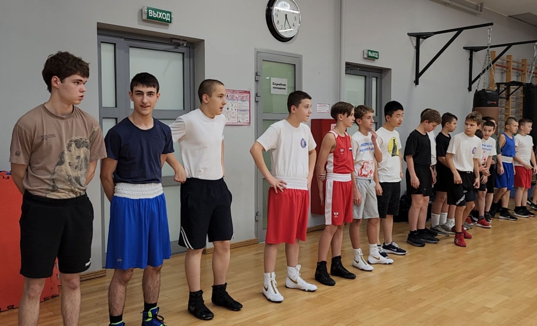 спорт, бокс, химки,