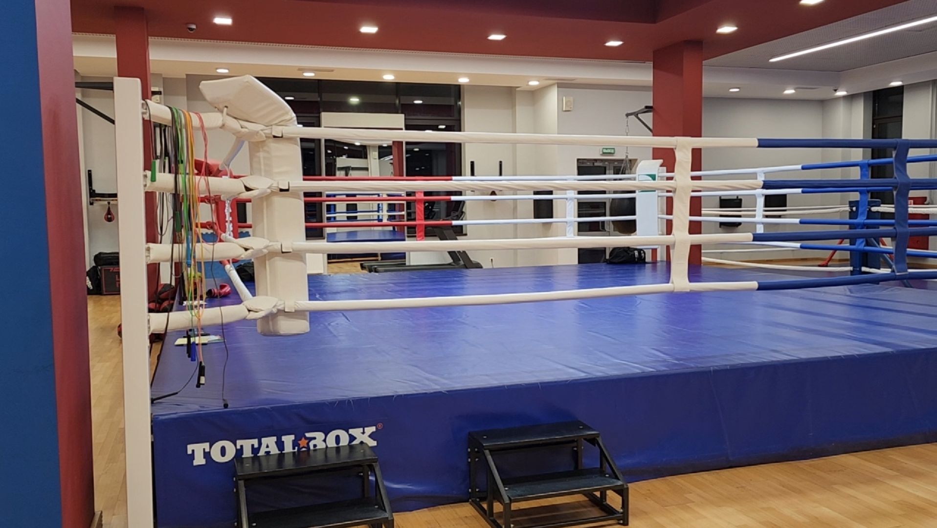 спорт, бокс, химки,