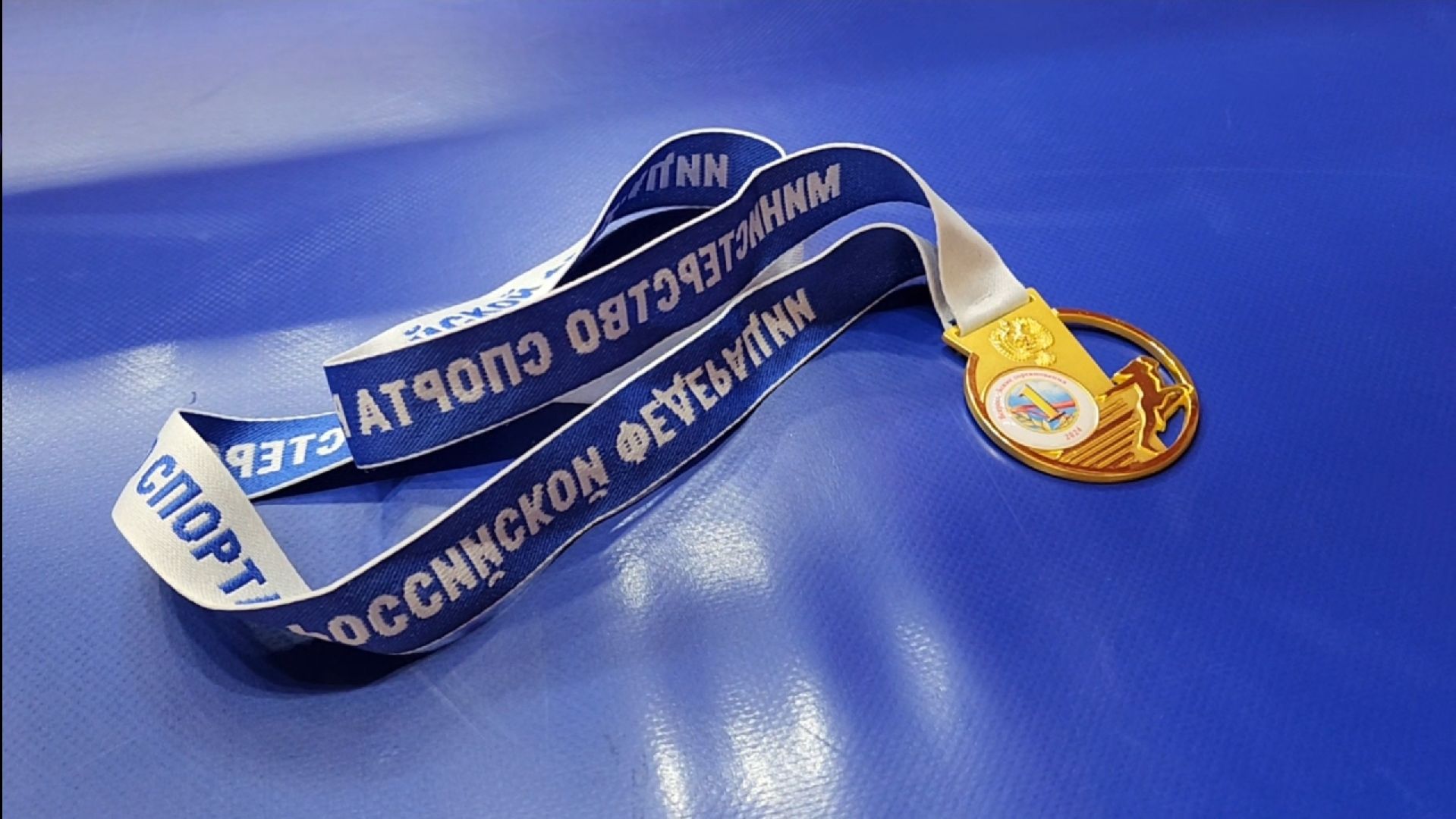 спорт, бокс, химки,