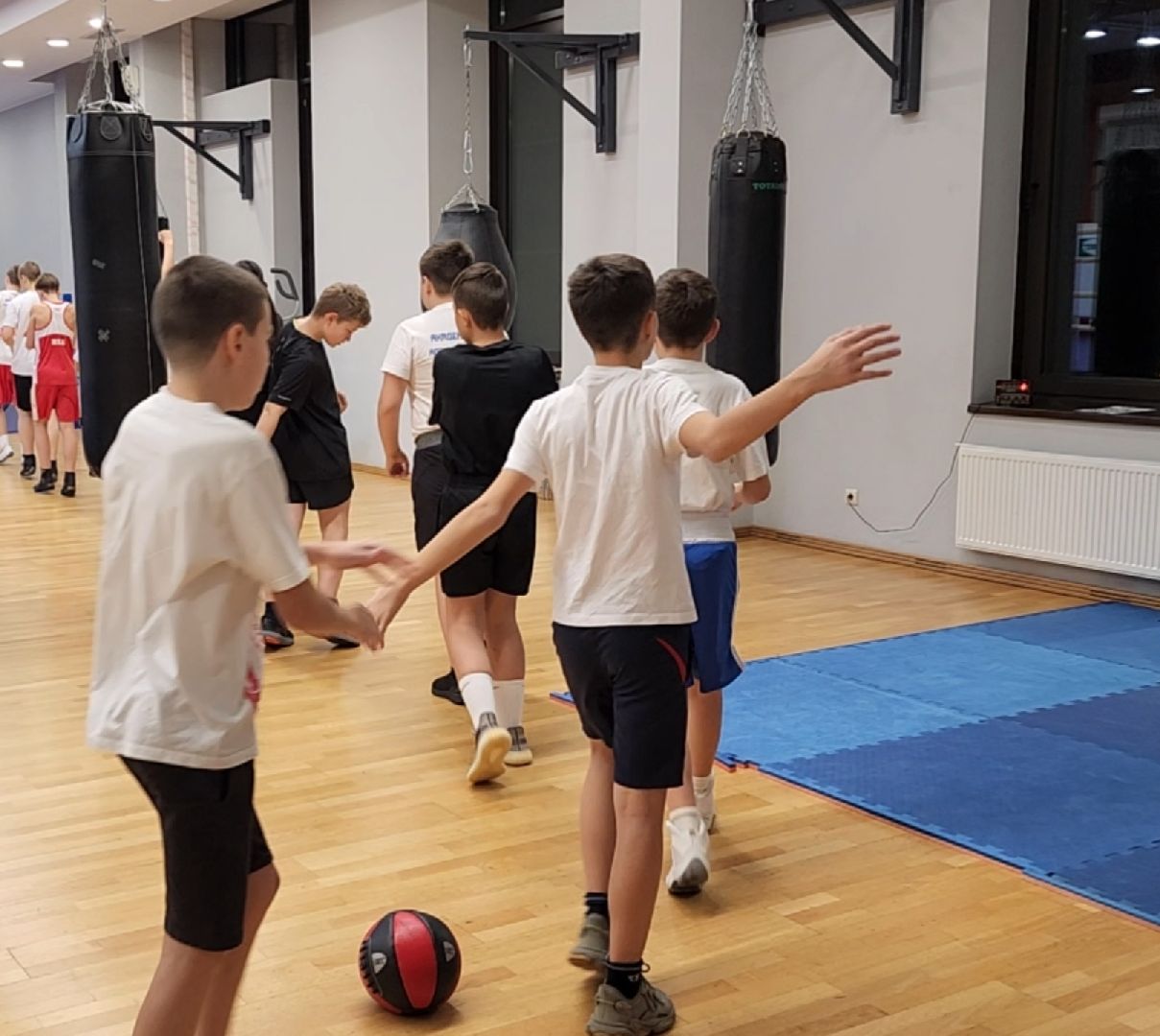 спорт, бокс, химки,