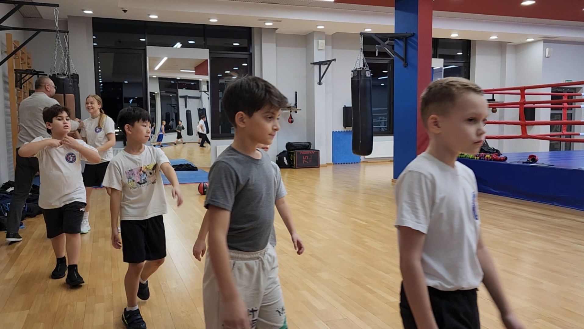 спорт, бокс, химки,