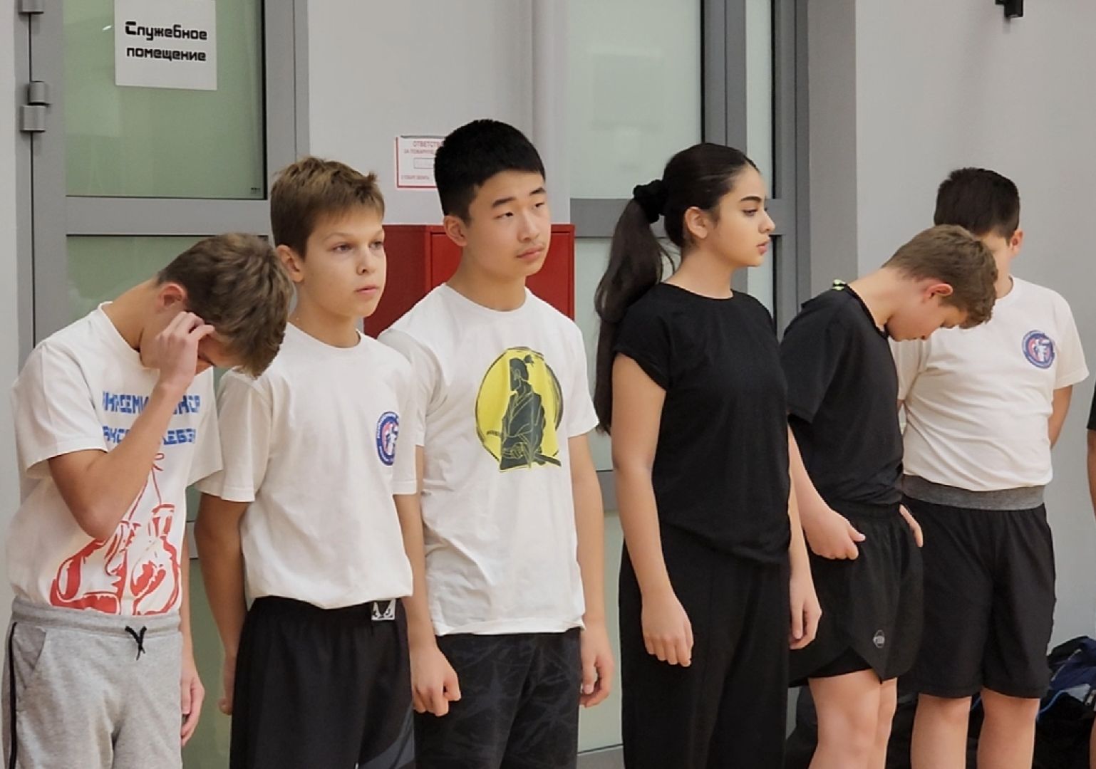 спорт, бокс, химки,