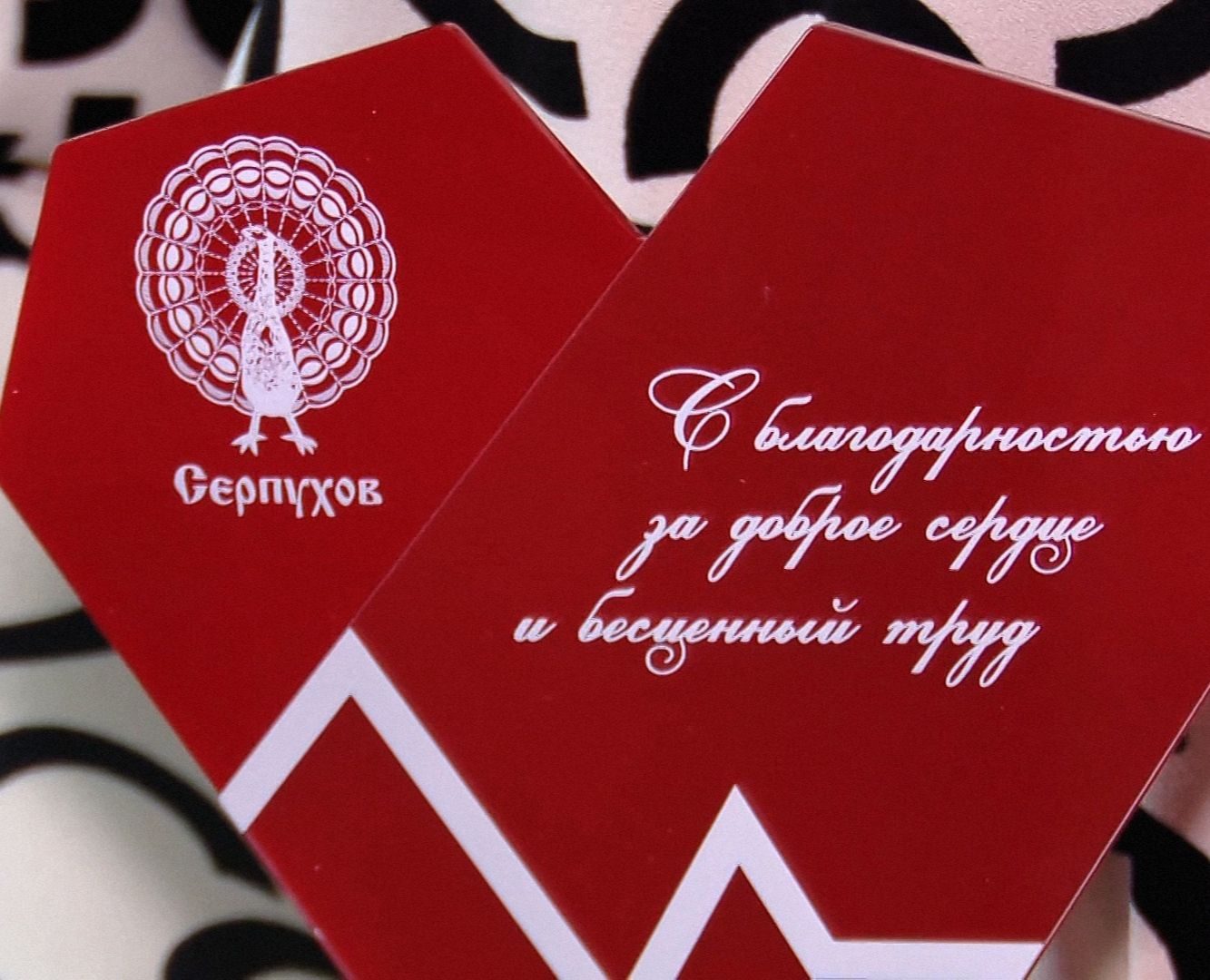 Серпухов, волонтеры, Подмосковье, награда, СВО