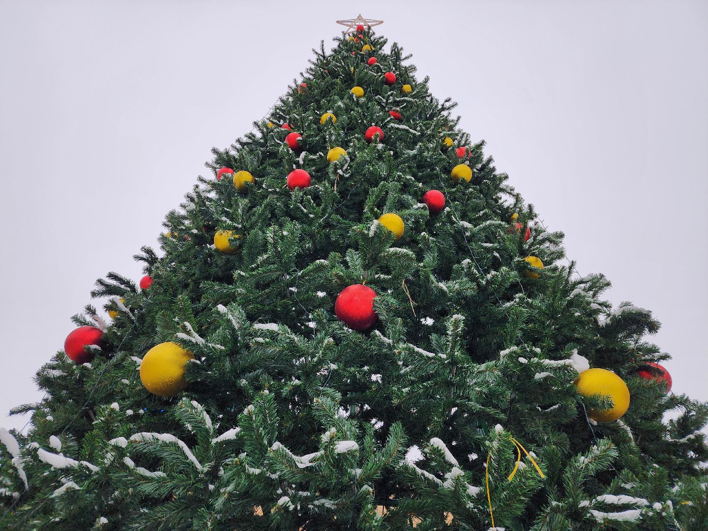фрязино, зима в подмомсковье, ёлка, украшение города, новый год, вертикалки,