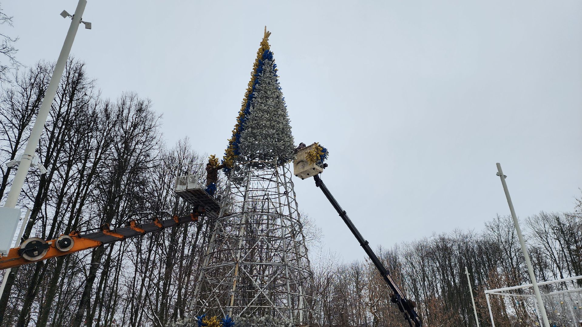парки, новогодняя елка, истра, вертикалки,