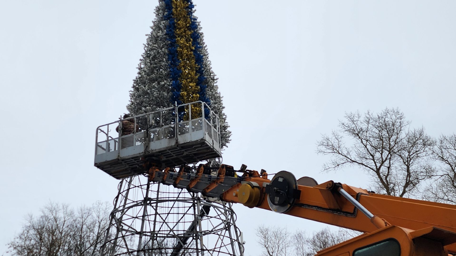 парки, новогодняя елка, истра, вертикалки,