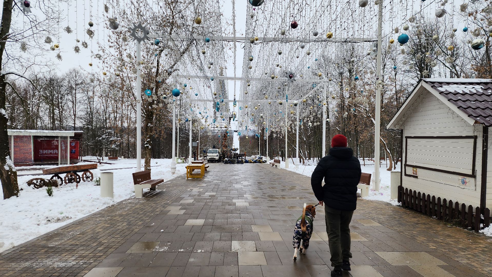 парки, новогодняя елка, истра, вертикалки,