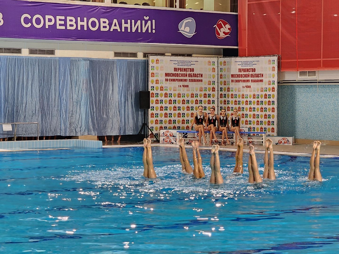 Чехов, дворец спорта Олимпийский, синхронное плавание, первенство московской области, открытие, парад команд, соревнования, глава округа михаил собакин,