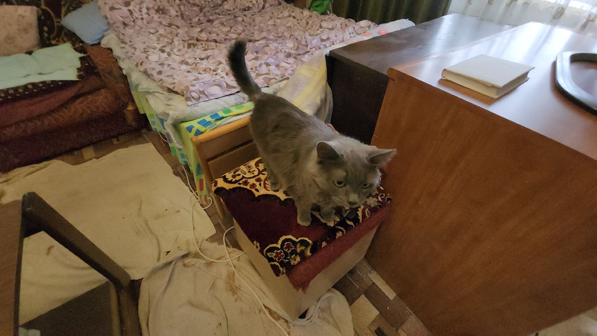 кашира, капремонт, хвс, гвс, отопление, радиаторы, вертикалки,