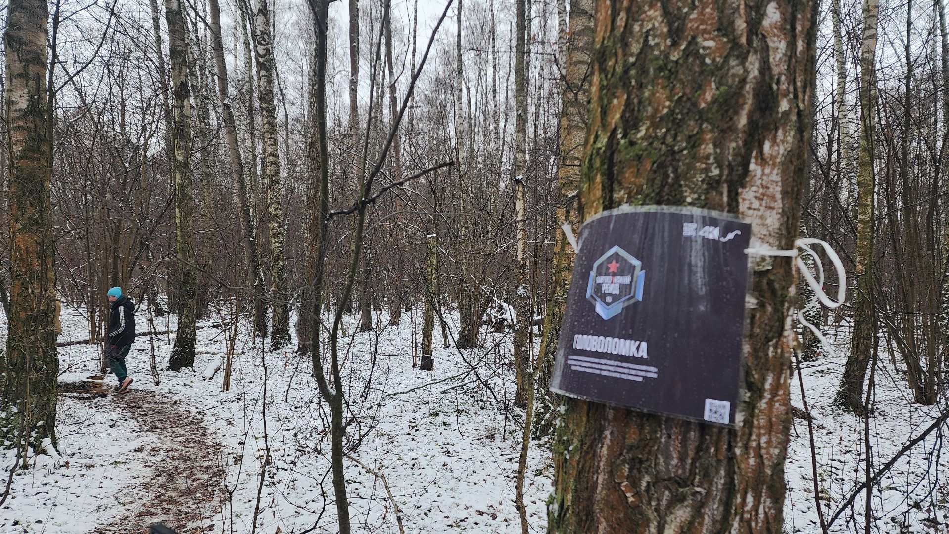 ЦВПВ, Домодедово, Подмосковье, Партизанский рейд, Спортивная игра, Патриотический центр, Парк Городской лес, вертикалки,