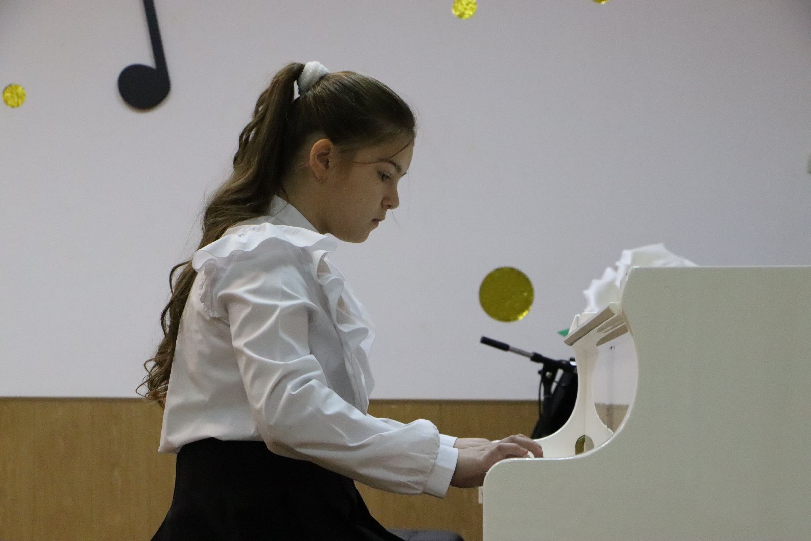 вертикалки, Серебряные Пруды, Культура, зачетный концерт, музыканты, Школа искусств Кившенко,