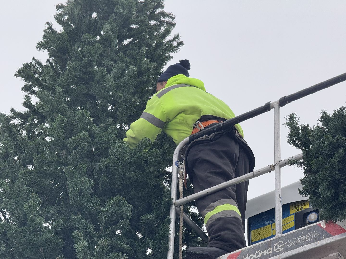 шаховская, ёлка, новогодняя елка, вертикалки,