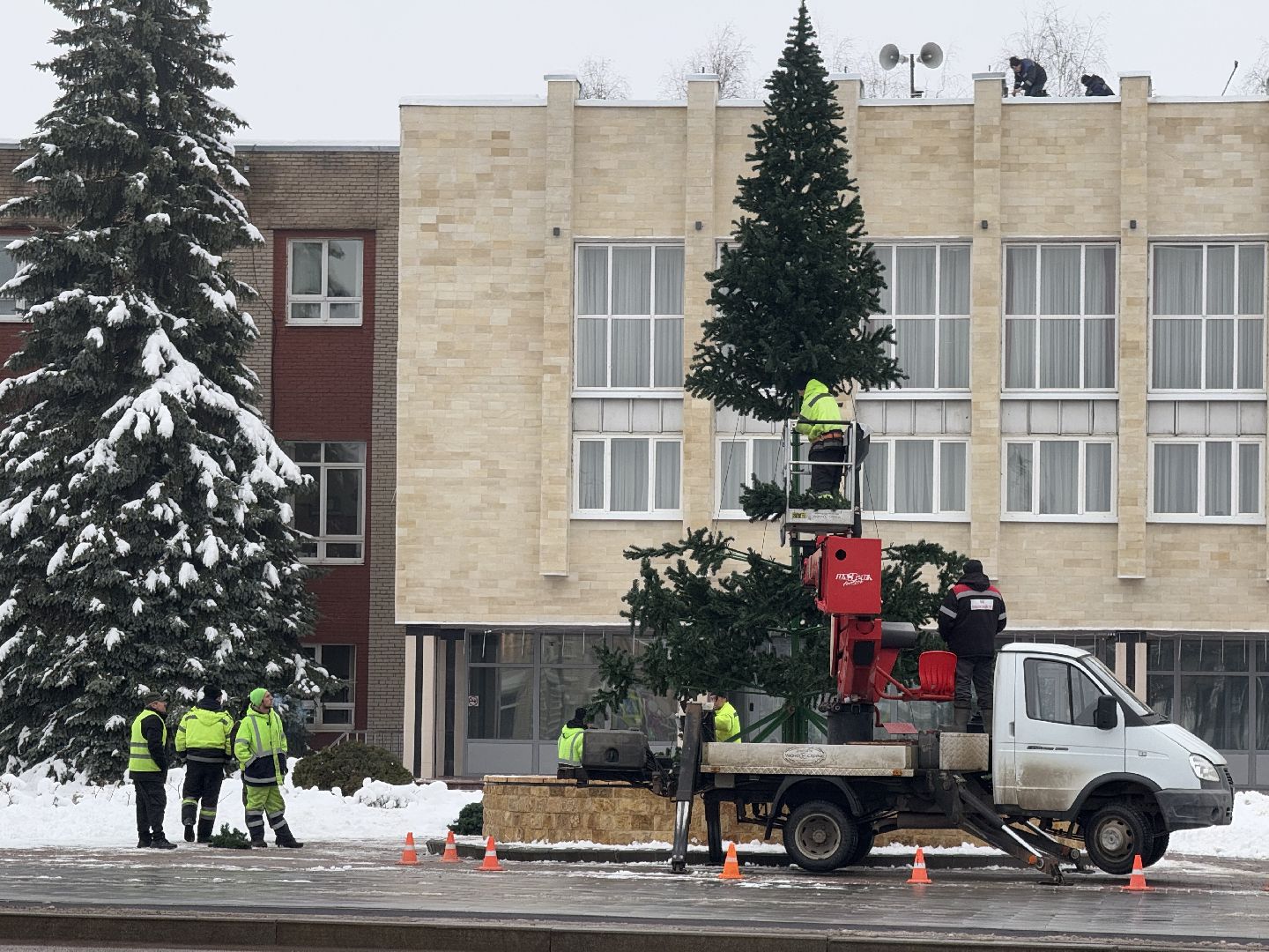 шаховская, ёлка, новогодняя елка, вертикалки,