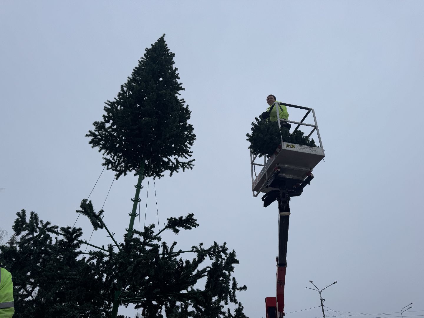 шаховская, ёлка, новогодняя елка, вертикалки,