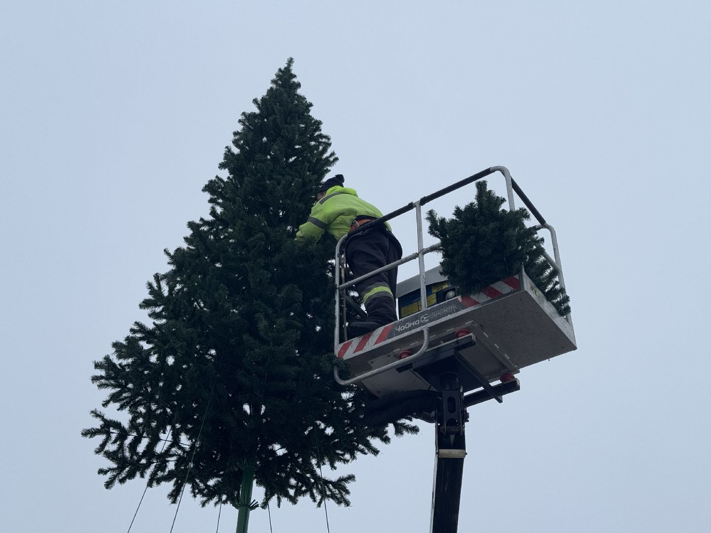 шаховская, ёлка, новогодняя елка, вертикалки,