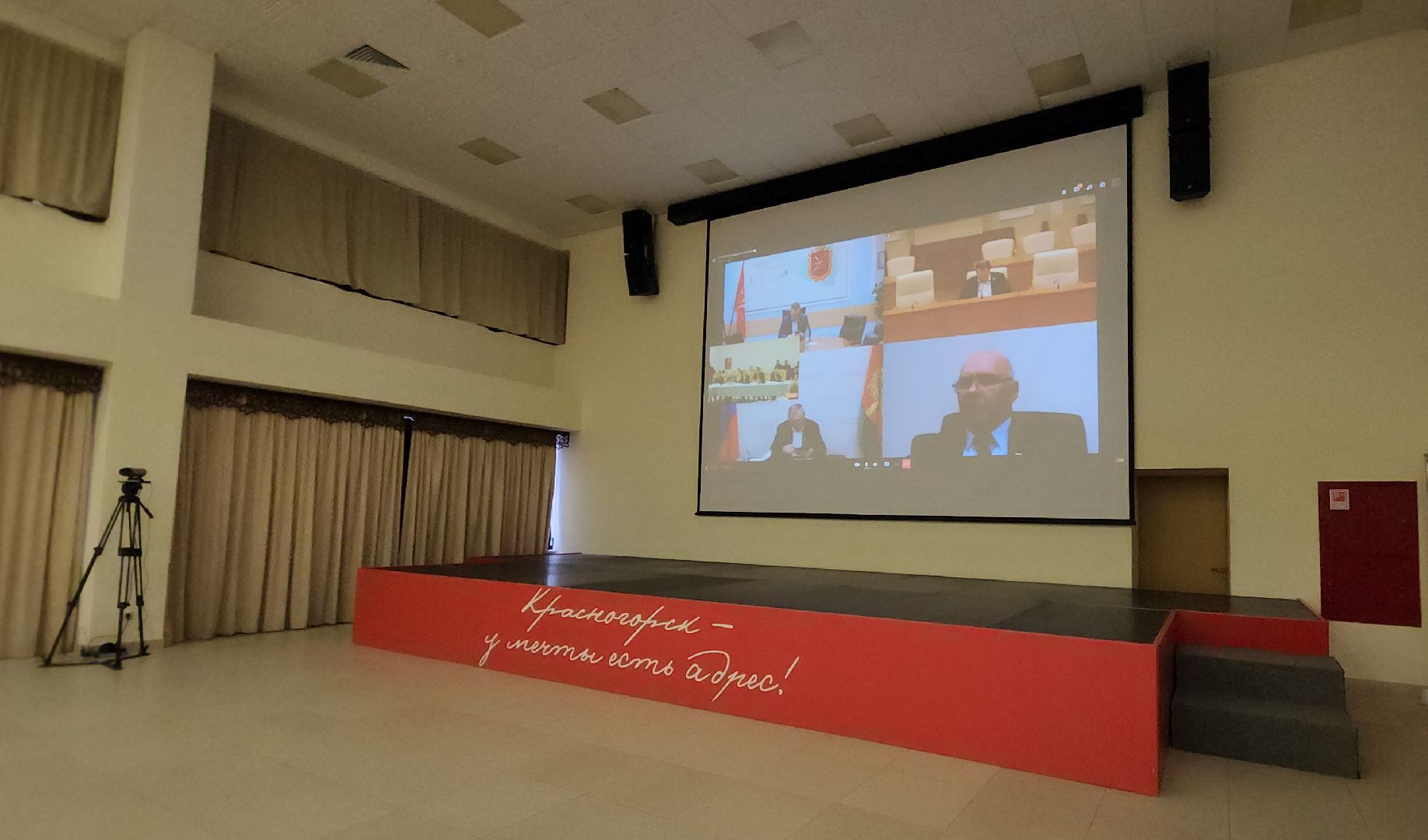 красногорск, чипирование домашних животных, ветеринар,