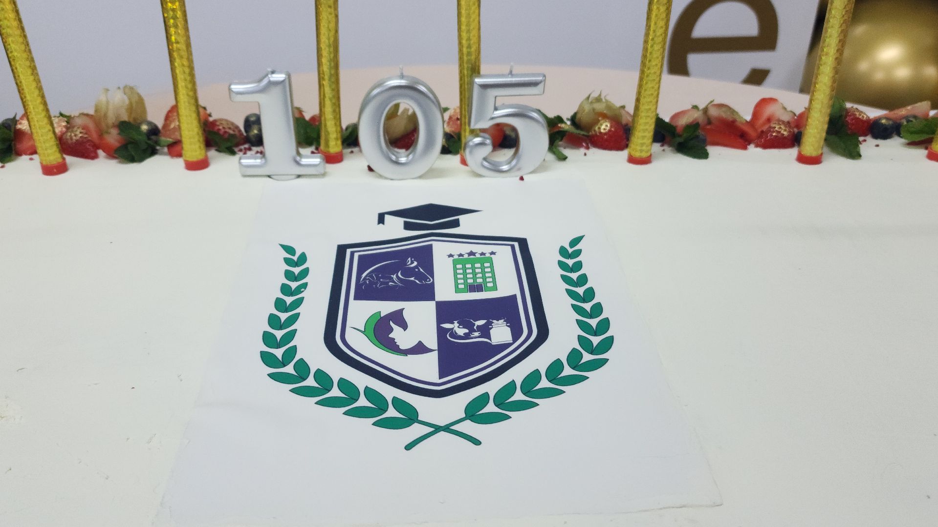 Волоколамск, Холмогорка, Волоколамский аграрный техникум, Юбилей учебного заведения, образование,