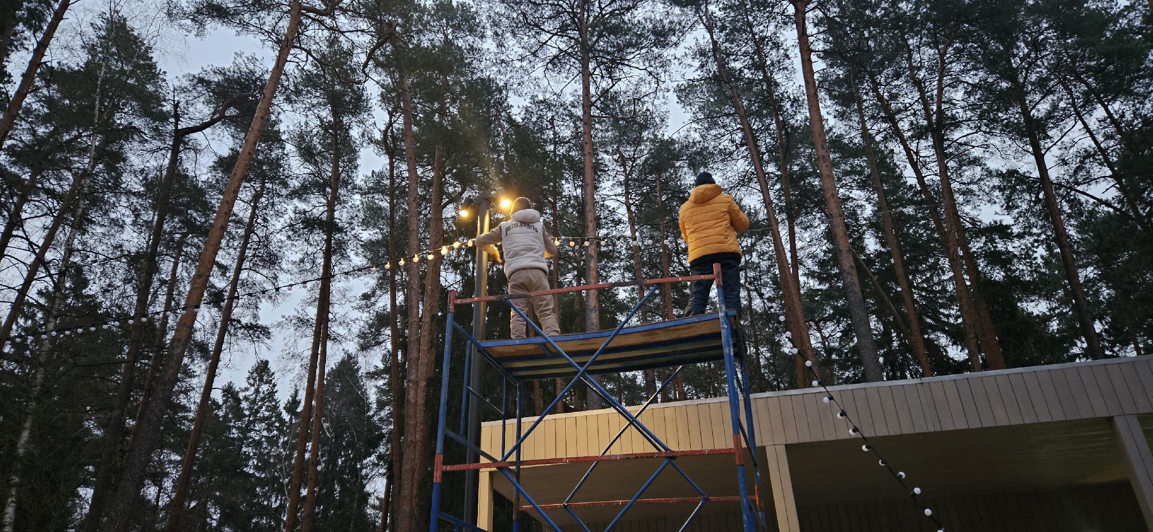 жуковский парк, новый год, Жуковский, вертикалки,