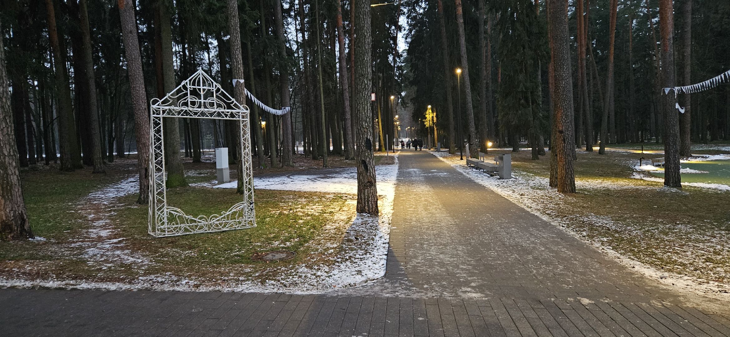 жуковский парк, новый год, Жуковский, вертикалки,