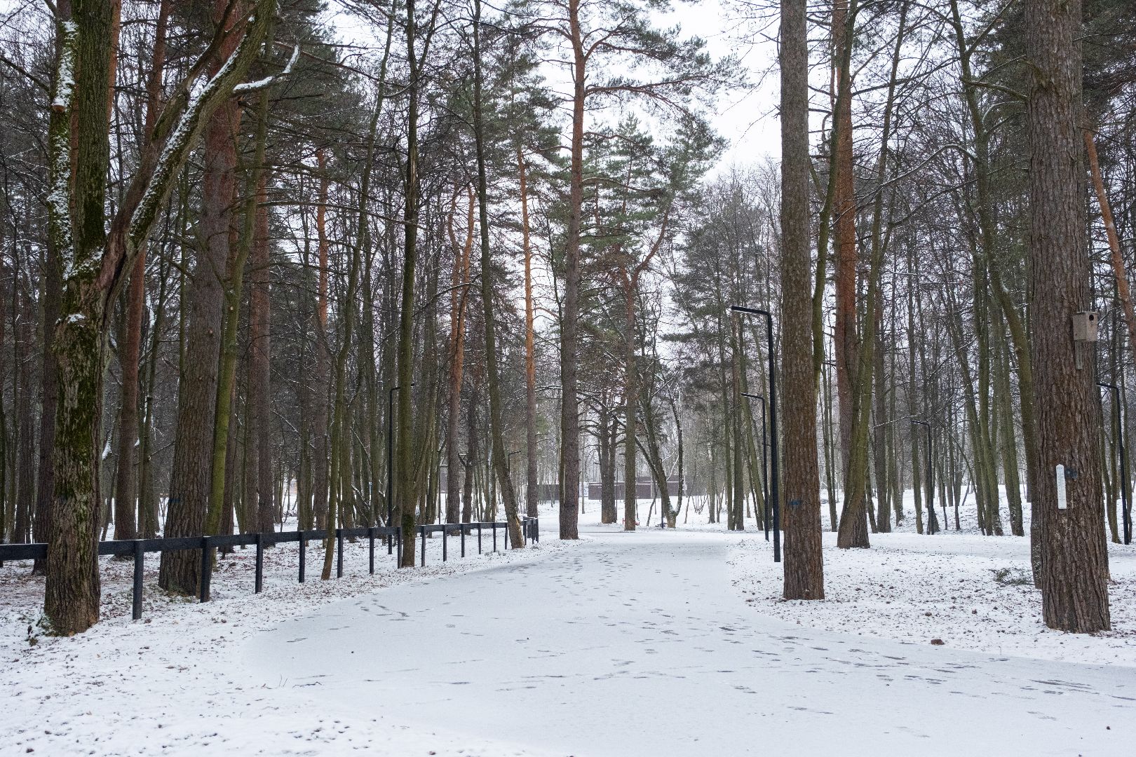 лыткарино, волкуша, лыжная трасса, зимний сезон, вертикалка,