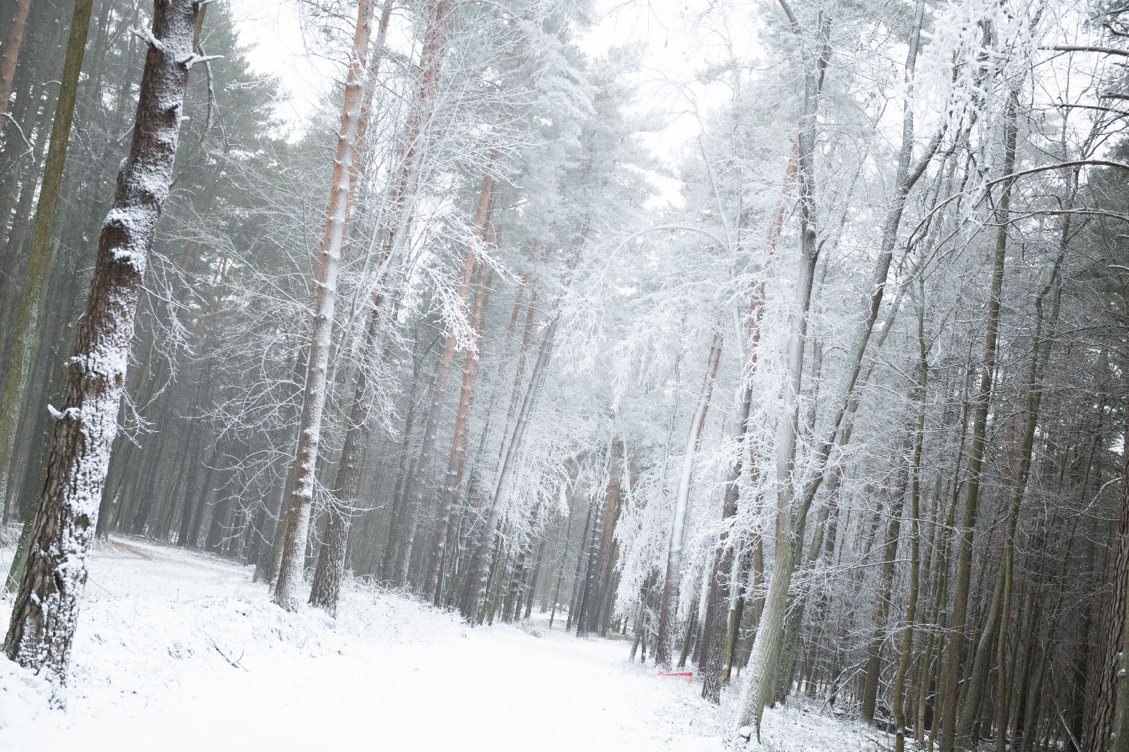 лыткарино, волкуша, лыжная трасса, зимний сезон, вертикалка,