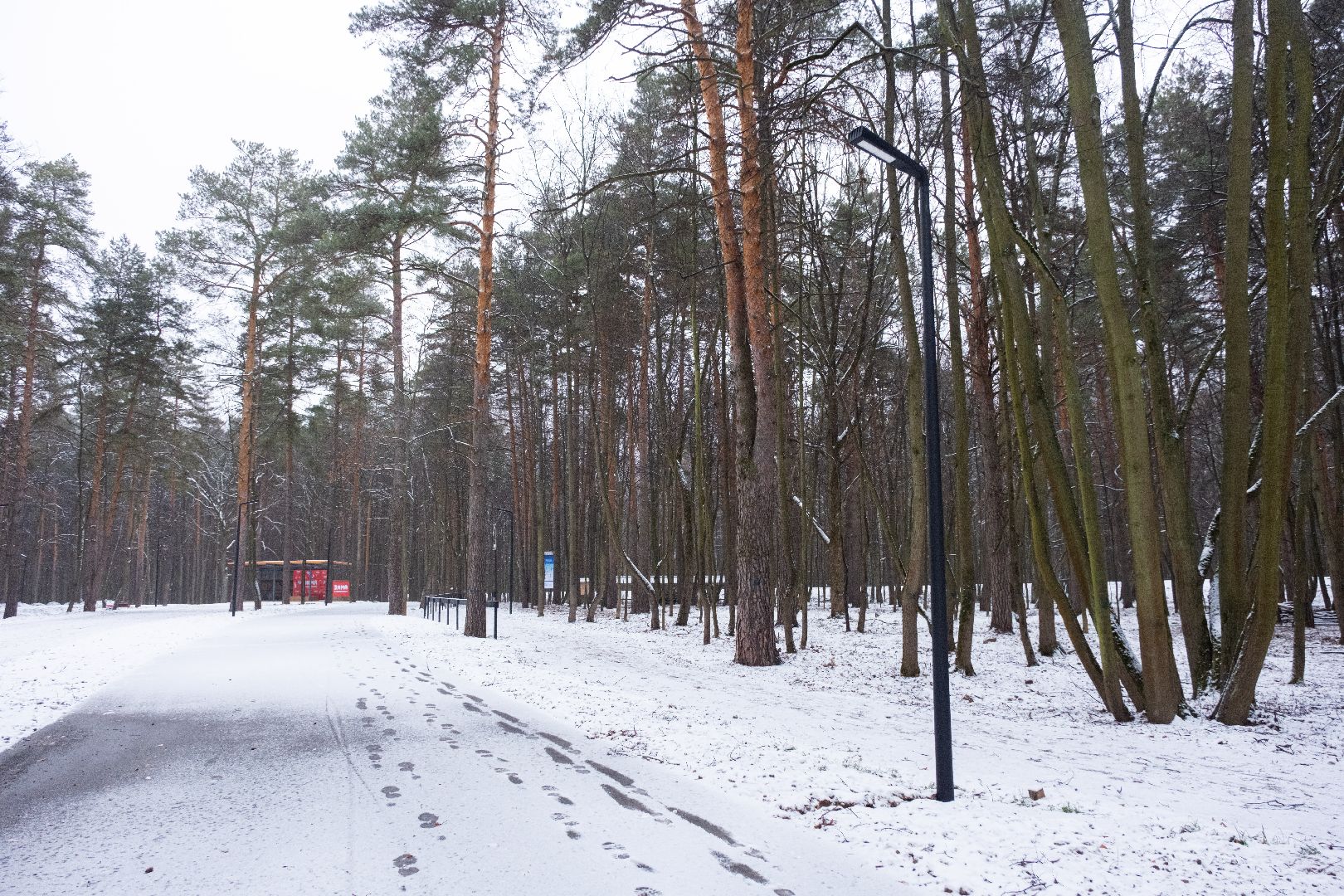 лыткарино, волкуша, лыжная трасса, зимний сезон, вертикалка,