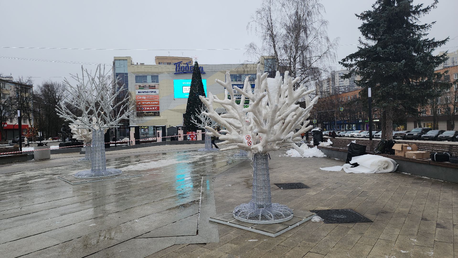 вертикалки, пушкино, инсталляции, украшение города к новому году, площадь, светодиодная композиция, светодиоды, деревья,