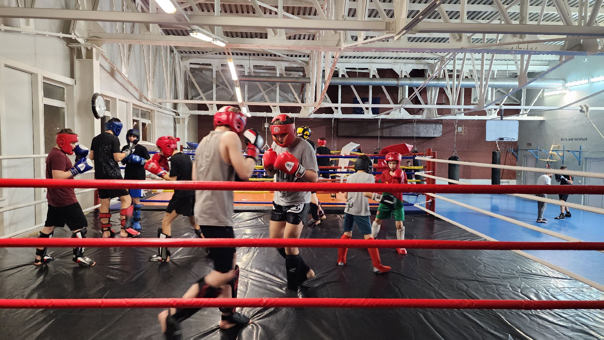 спорт, кикбоксинг, спортивная школа, чемпион,
