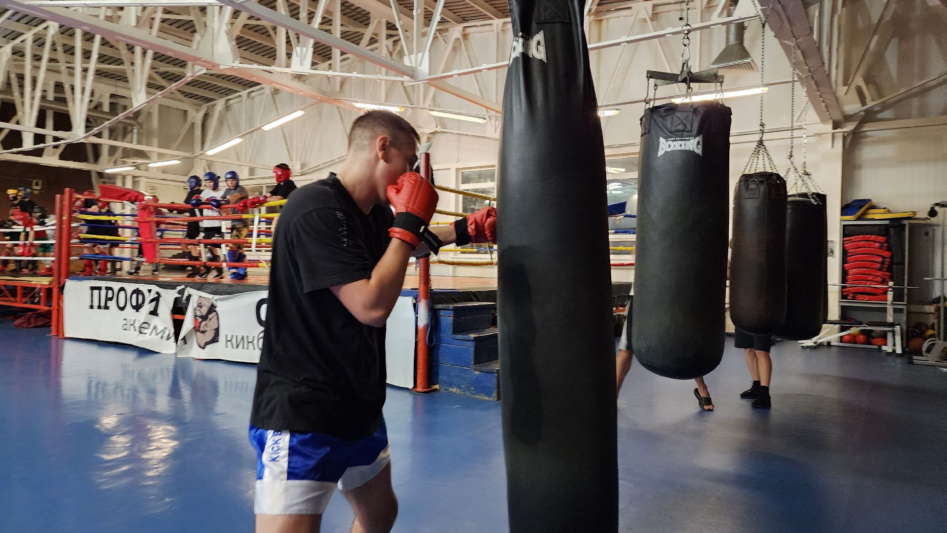 спорт, кикбоксинг, спортивная школа, чемпион,