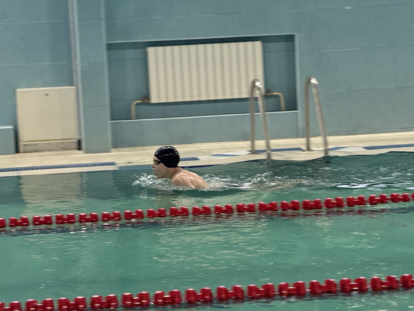 соревнования по плаванию, Иван Гирев, Детский оздоровительный центр дельфин, Кубок Ивана Гирева,