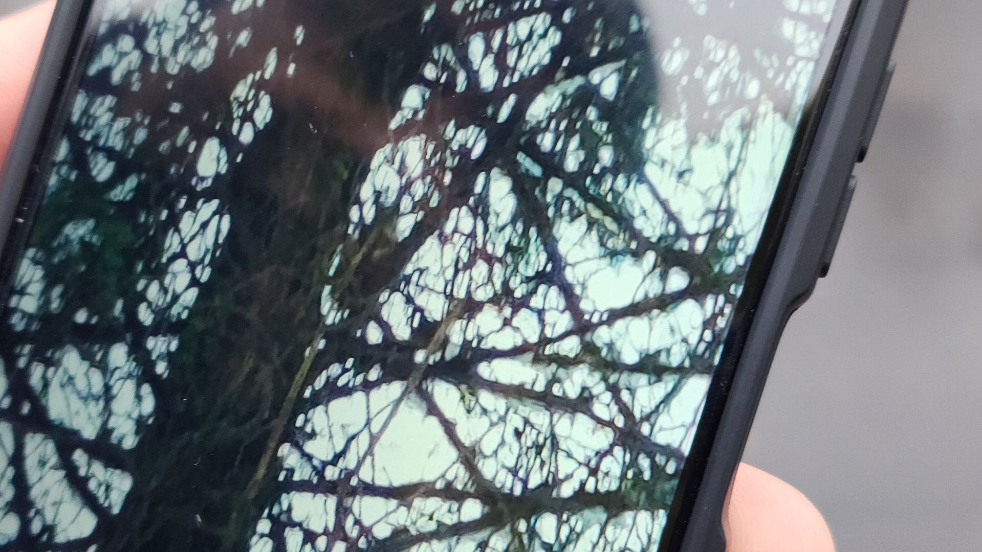 волоколамск, детский праздник, досуг, парки подмосковья,